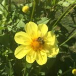 794AD771-8A2A-47EA-A52B-4FBD136AC551